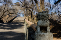 Shenyang - Donglin Park